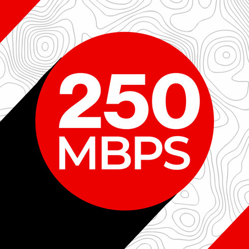 Performance (250 MBPS x 25 MBPS)